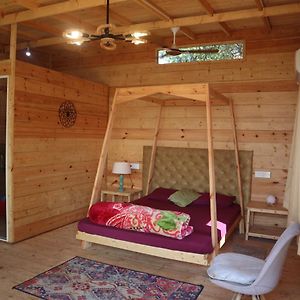 Sea View Cottage AC